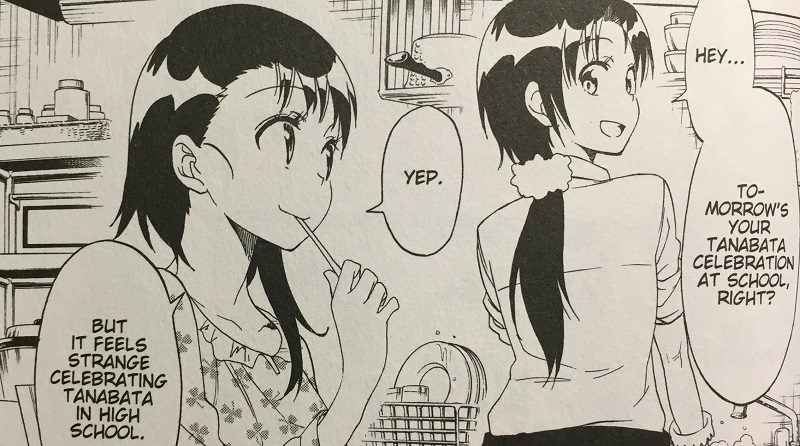 Illustration for article titled Nisekoi Vol. 12 - Manga Review